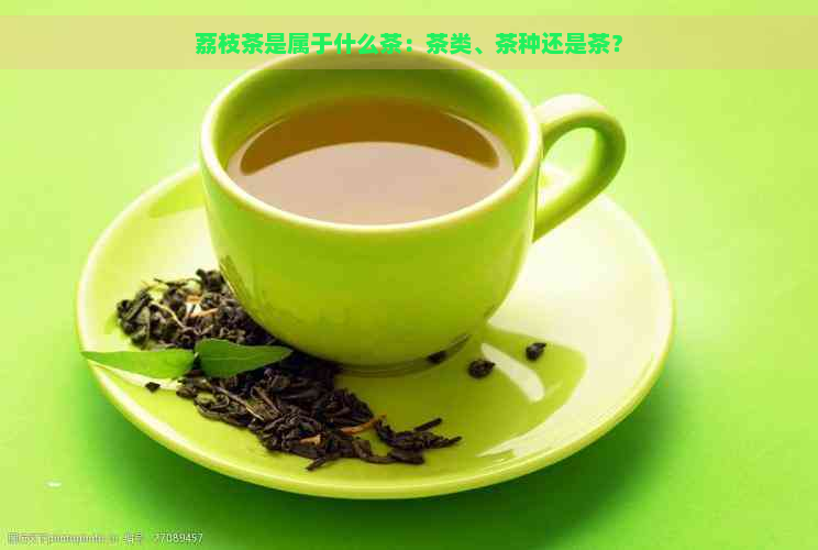 荔枝茶是属于什么茶：茶类、茶种还是茶？