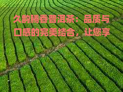 久韵腾香普洱茶：品质与口感的完美结合，让您享受到前所未有的品茗体验