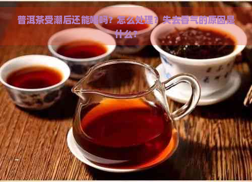 普洱茶受潮后还能喝吗？怎么处理？失去香气的原因是什么？