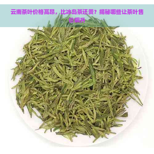 云南茶叶价格高昂，比冰岛茶还贵？揭秘哪些让茶叶售价飙升