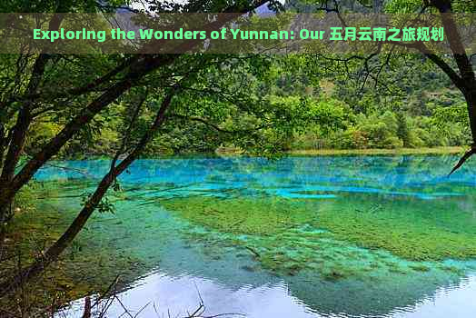 Exploring the Wonders of Yunnan: Our 五月云南之旅规划