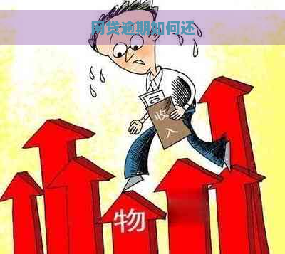 网贷逾期如何还