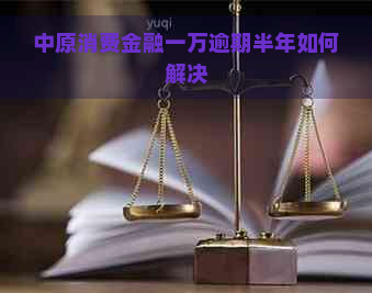 中原消费金融一万逾期半年如何解决