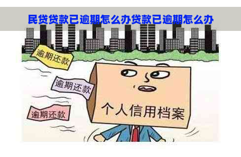 民贷贷款已逾期怎么办贷款已逾期怎么办