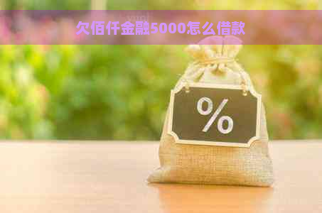 欠佰仟金融5000怎么借款