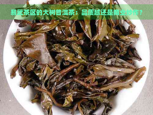 易武茶区的大树普洱茶：品质越还是商业炒作？