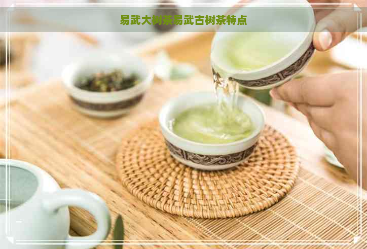 易武大树茶易武古树茶特点