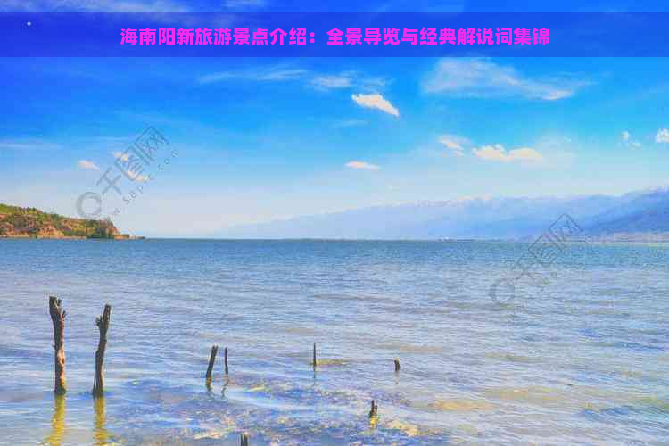 海南阳新旅游景点介绍：全景导览与经典解说词集锦