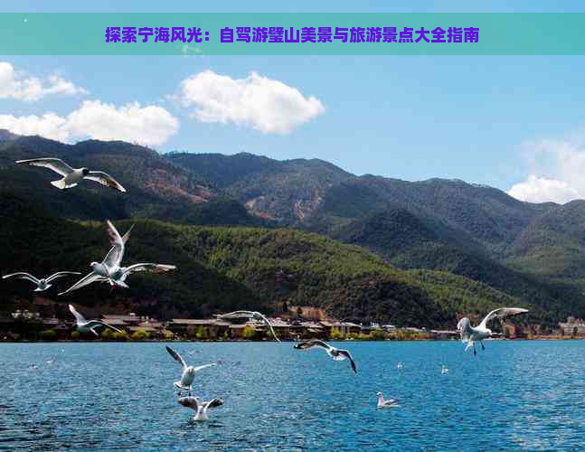 探索宁海风光：自驾游璧山美景与旅游景点大全指南