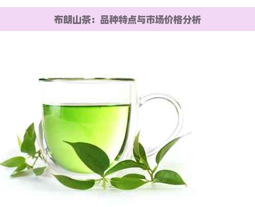 布朗山茶：品种特点与市场价格分析