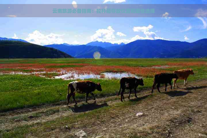 云南旅游必备指南：拉杆箱存放位置和更佳选择