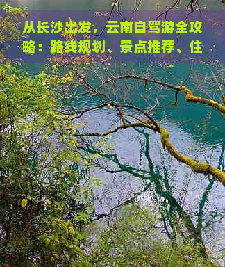 从长沙出发，云南自驾游全攻略：路线规划、景点推荐、住宿美食一应俱全！