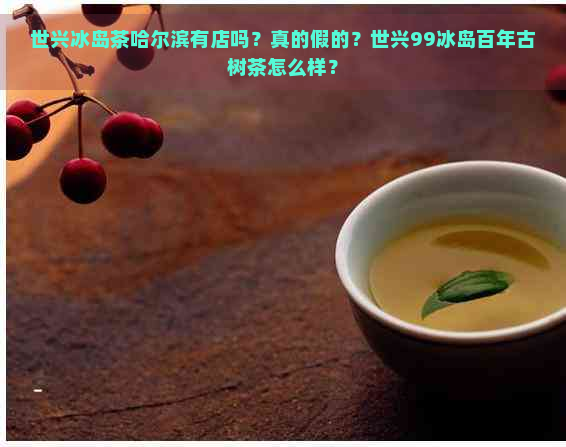 世兴冰岛茶哈尔滨有店吗？真的假的？世兴99冰岛百年古树茶怎么样？