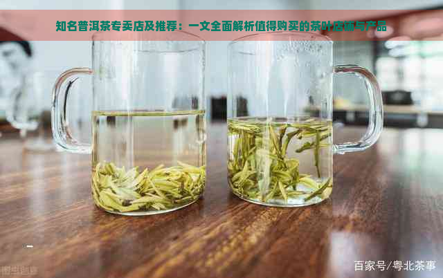 知名普洱茶专卖店及推荐：一文全面解析值得购买的茶叶店铺与产品