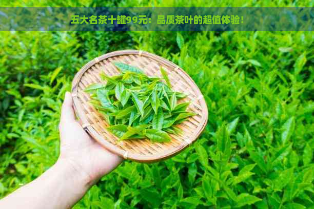 五大名茶十罐99元：品质茶叶的超值体验！