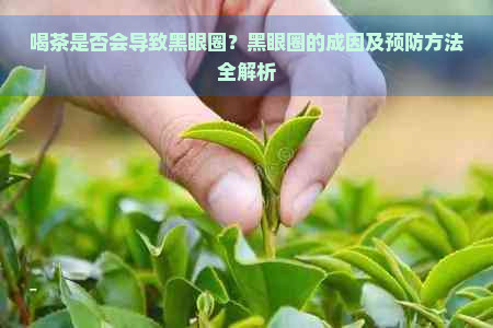 喝茶是否会导致黑眼圈？黑眼圈的成因及预防方法全解析