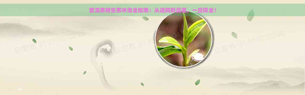 普洱茶砖生茶冲泡全指南：从选购到品鉴，一应俱全！