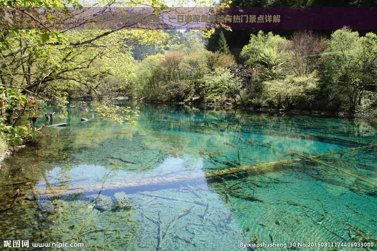 四川全景旅游攻略：一日游深度体验与热门景点详解