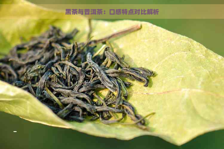 黑茶与普洱茶：口感特点对比解析