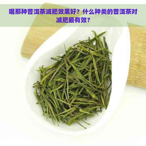 喝那种普洱茶减肥效果好？什么种类的普洱茶对减肥最有效？