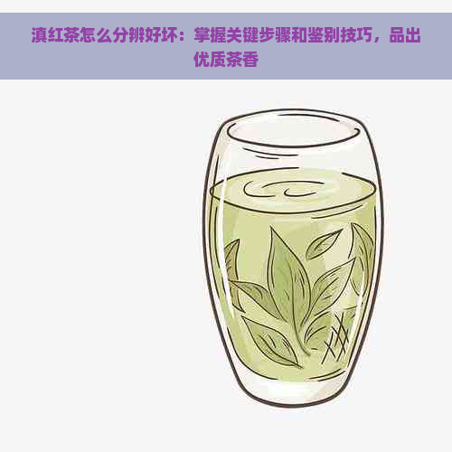 滇红茶怎么分辨好坏：掌握关键步骤和鉴别技巧，品出优质茶香