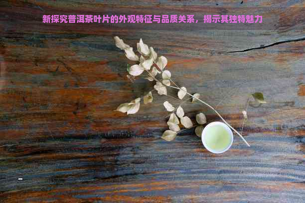 新探究普洱茶叶片的外观特征与品质关系，揭示其独特魅力