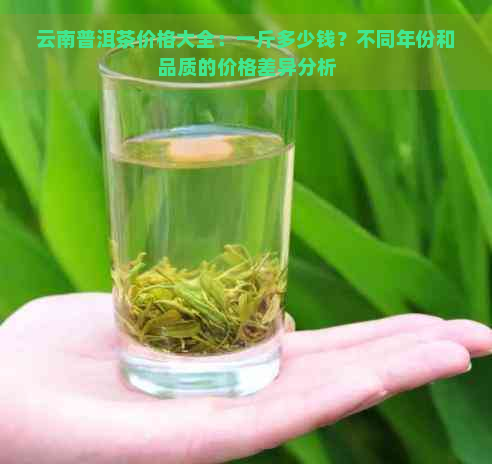 云南普洱茶价格大全：一斤多少钱？不同年份和品质的价格差异分析