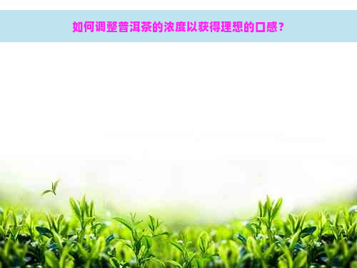 如何调整普洱茶的浓度以获得理想的口感？