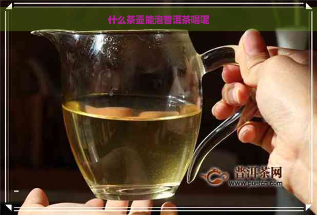 什么茶壶能泡普洱茶喝呢