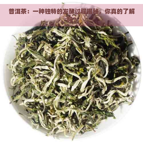 普洱茶：一种独特的发酵过程揭秘，你真的了解吗？