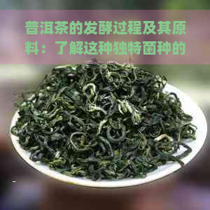 普洱茶的发酵过程及其原料：了解这种独特菌种的关键作用