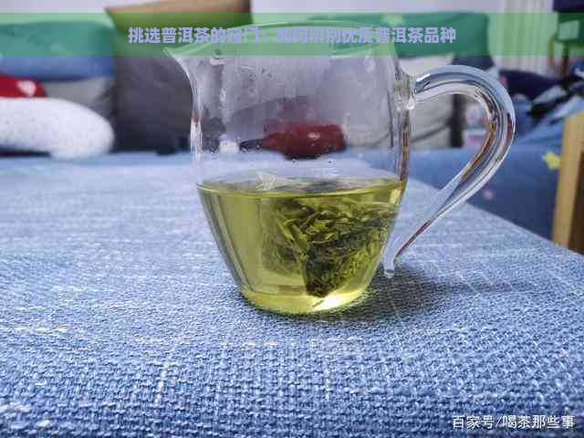 挑选普洱茶的窍门：如何辨别优质普洱茶品种