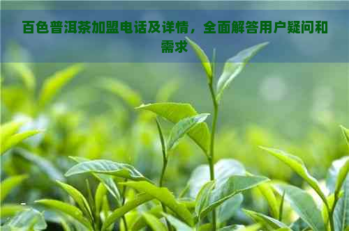 百色普洱茶加盟电话及详情，全面解答用户疑问和需求