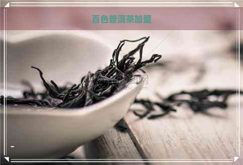 百色普洱茶加盟