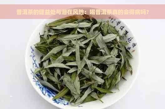 普洱茶的健益处与潜在风险：喝普洱茶真的会得病吗？