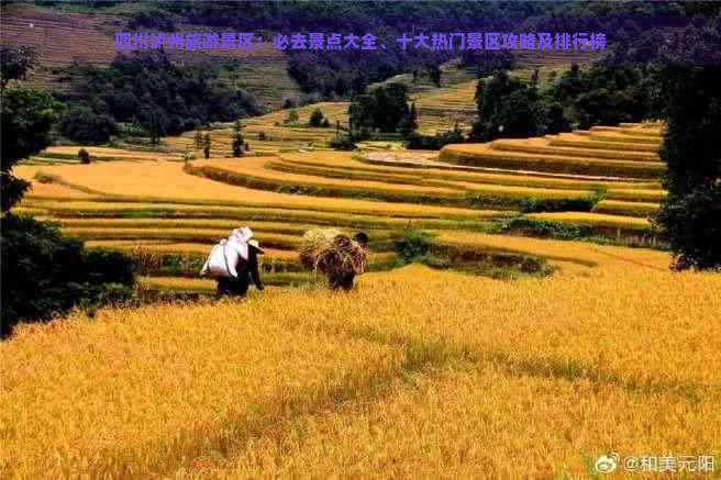 四川泸州旅游景区：必去景点大全、十大热门景区攻略及排行榜