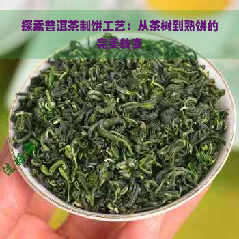 探索普洱茶制饼工艺：从茶树到熟饼的完美转变