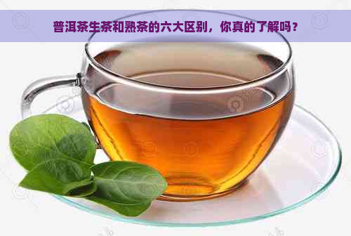 普洱茶生茶和熟茶的六大区别，你真的了解吗？