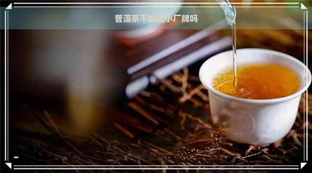 普洱茶不能碰小厂牌吗