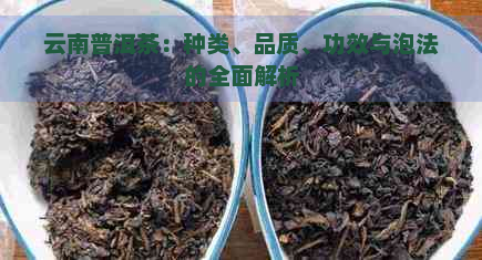 云南普洱茶：种类、品质、功效与泡法的全面解析