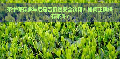 茶饼保存多年后是否仍然安全饮用？如何正确保存茶叶？