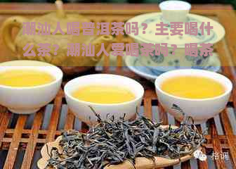 潮汕人喝普洱茶吗？主要喝什么茶？潮汕人爱喝茶吗？喝茶有什么好处？