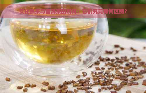 安化黑茶与普洱茶的辨析：它们究竟有何区别？