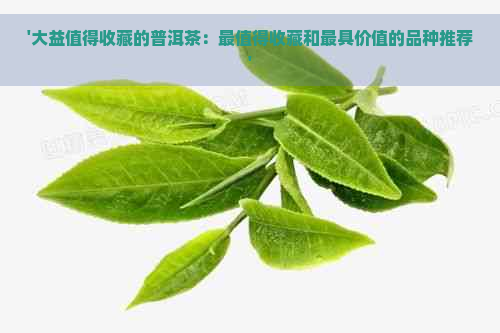 '大益值得收藏的普洱茶：最值得收藏和更具价值的品种推荐'