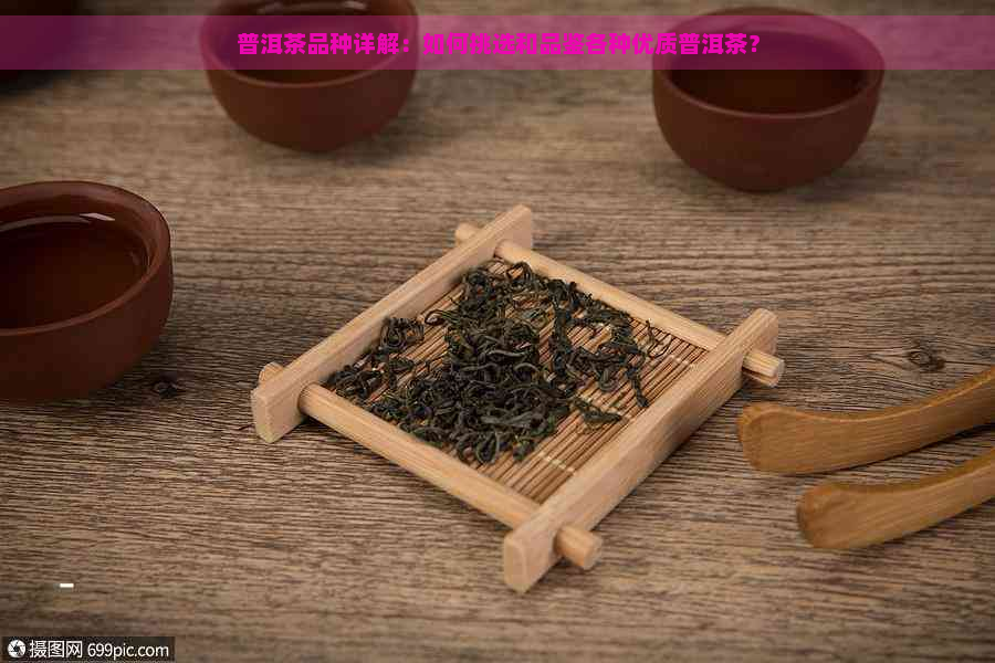 普洱茶品种详解：如何挑选和品鉴各种优质普洱茶？