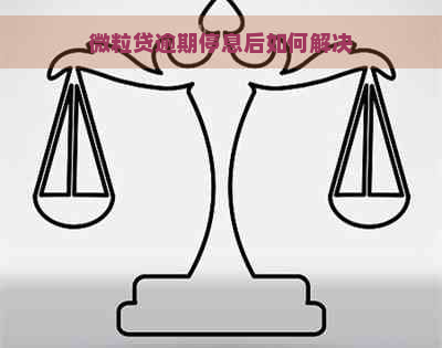 微粒贷逾期停息后如何解决