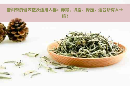 普洱茶的健效益及适用人群：养胃、减脂、降压，适合所有人士吗？