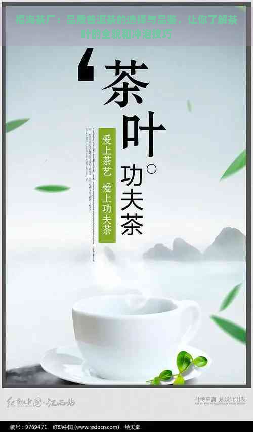 福海茶厂：品质普洱茶的选择与品鉴，让你了解茶叶的全貌和冲泡技巧