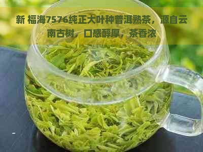 新 福海7576纯正大叶种普洱熟茶，源自云南古树，口感醇厚，茶香浓