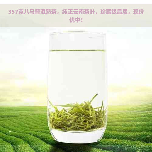 357克八马普洱熟茶，纯正云南茶叶，珍藏级品质，现价优中！